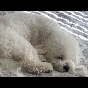 Meet your Posher, Kersten